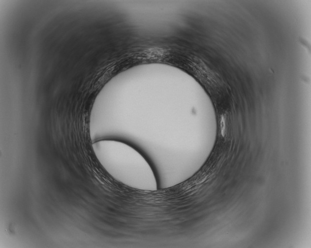 X0000098201395200804241027