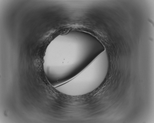 X0000098201398200804241027