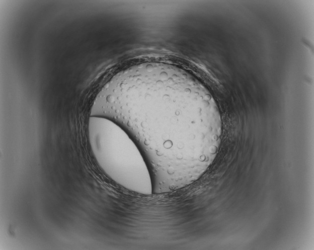 X0000098201399200804241028