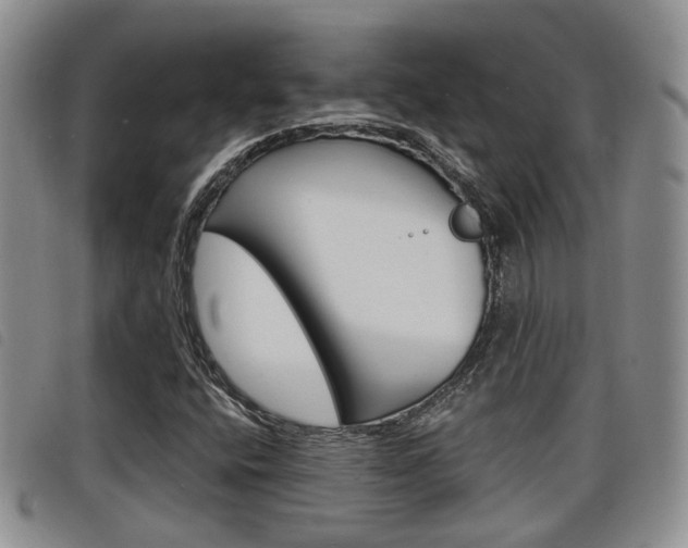 X0000098201400200804241028