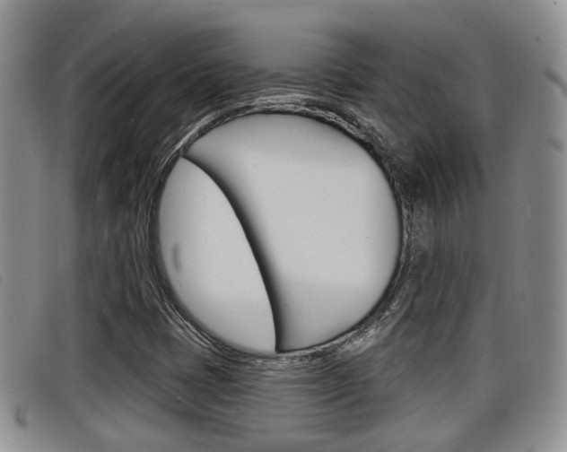 X0000098201401200804241028