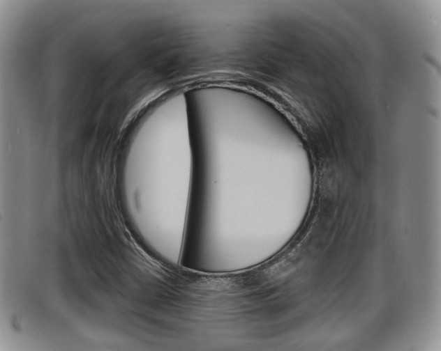 X0000098201402200804241028