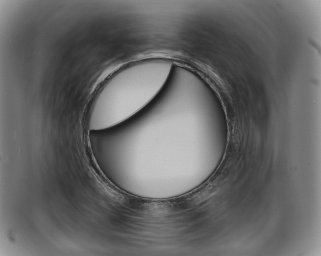 X0000098201404200804241028