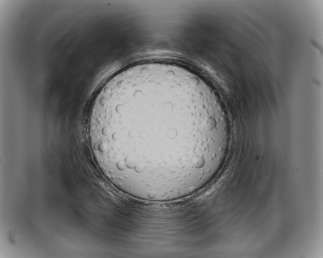 X0000098201405200804241028