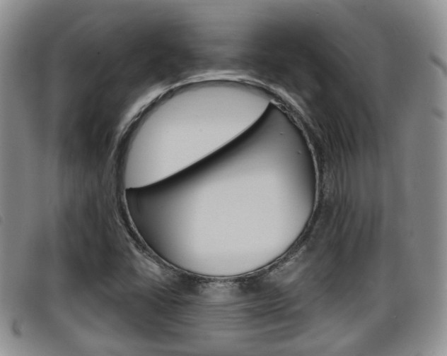 X0000098201406200804241028