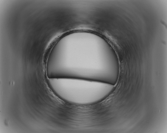 X0000098201408200804241028