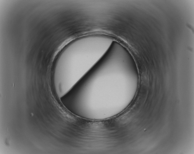 X0000098201410200804241028
