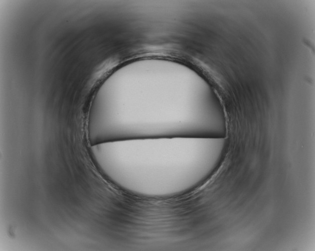 X0000098201411200804241028