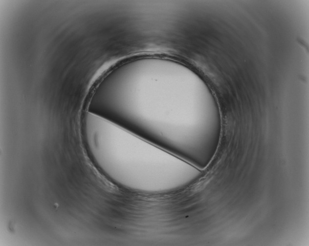 X0000098201412200804241028