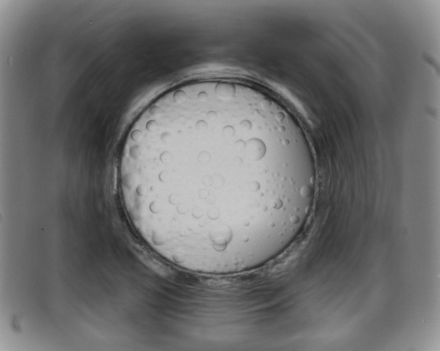 X0000098201413200804241028
