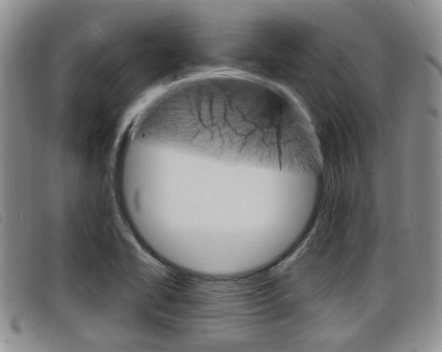 X0000098201414200804241028