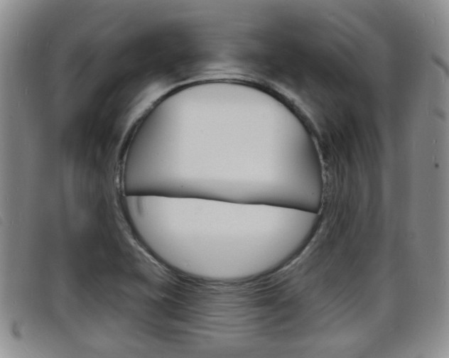 X0000098201415200804241028