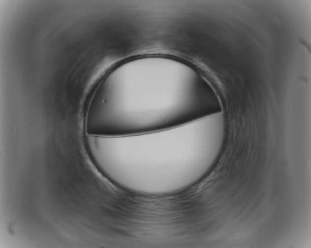 X0000098201416200804241028
