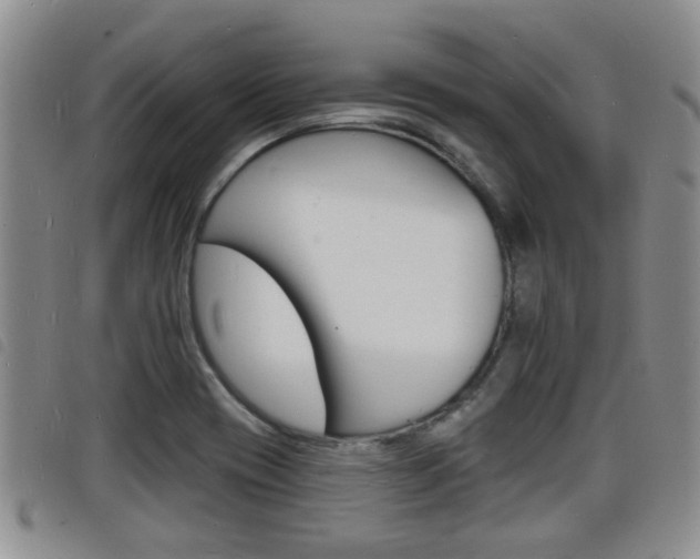 X0000098201417200804241028