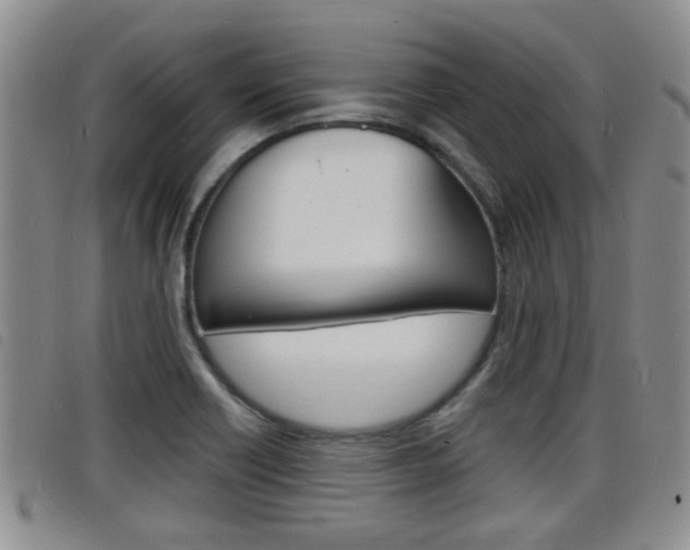 X0000098201418200804241028