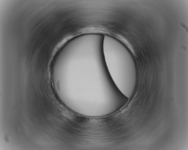 X0000098201419200804241028