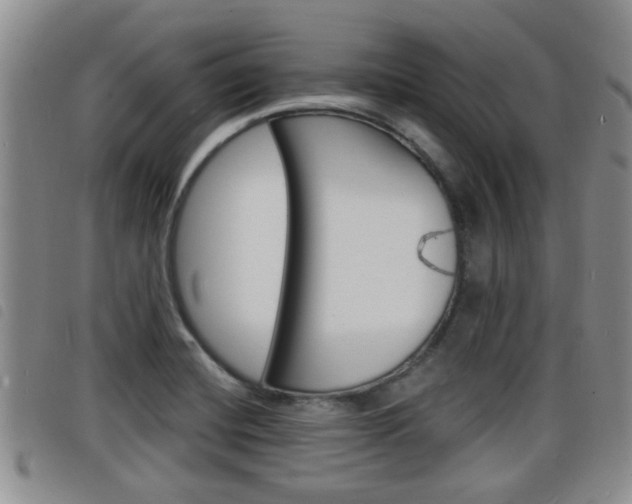 X0000098201420200804241028