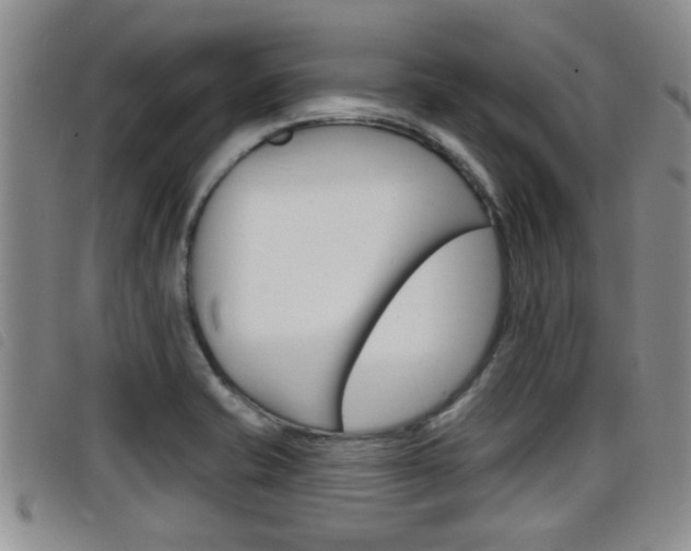 X0000098201421200804241028
