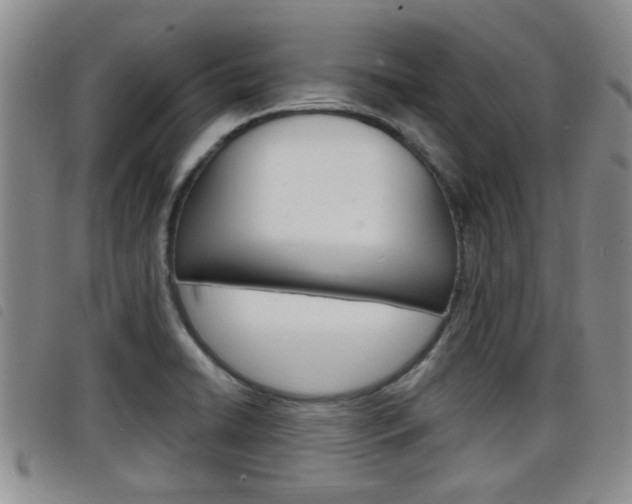 X0000098201422200804241028