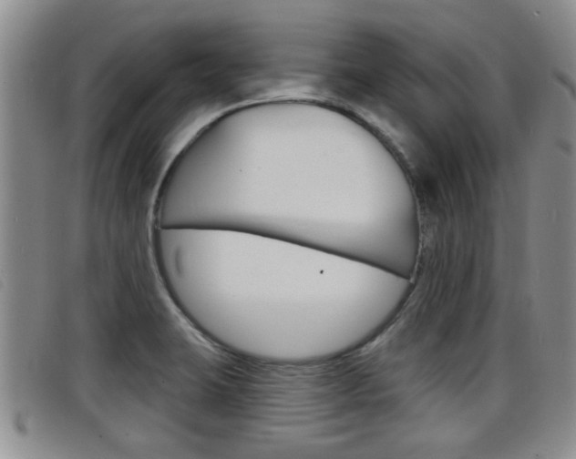X0000098201423200804241028