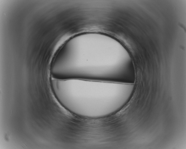 X0000098201424200804241028