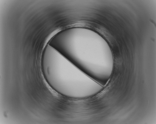 X0000098201426200804241028