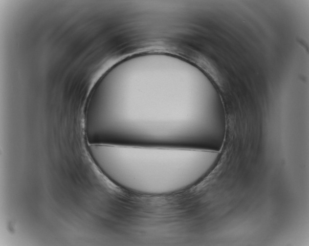 X0000098201428200804241028