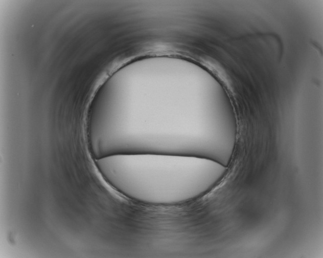 X0000098201429200804241028