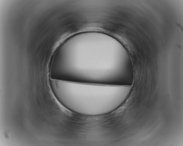 X0000098201430200804241028