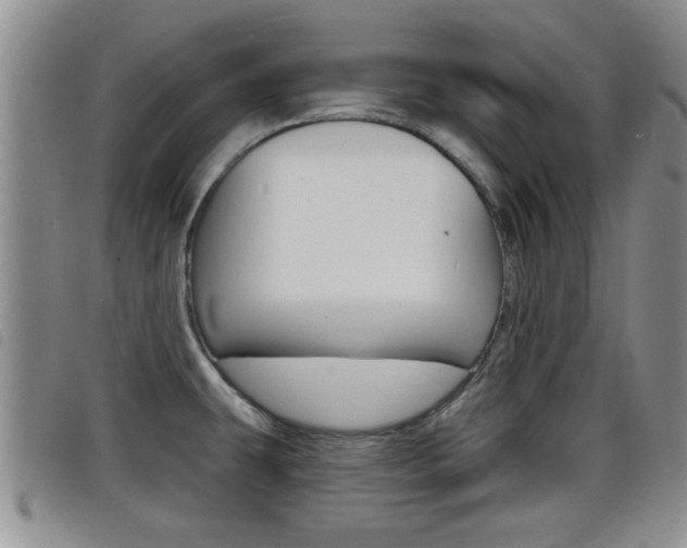 X0000098201431200804241028