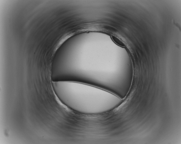 X0000098201433200804241028