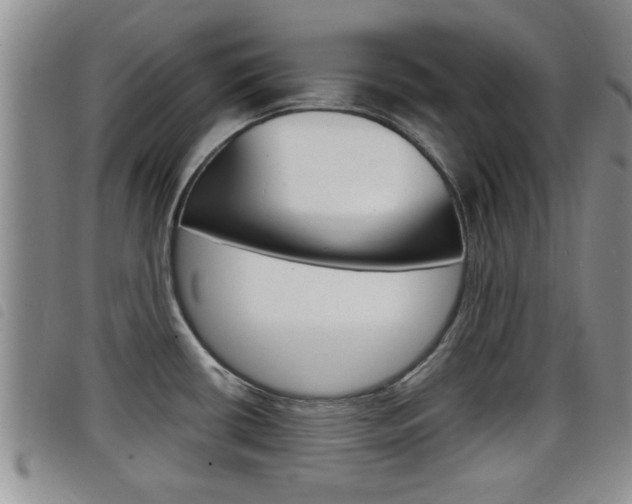 X0000098201434200804241028