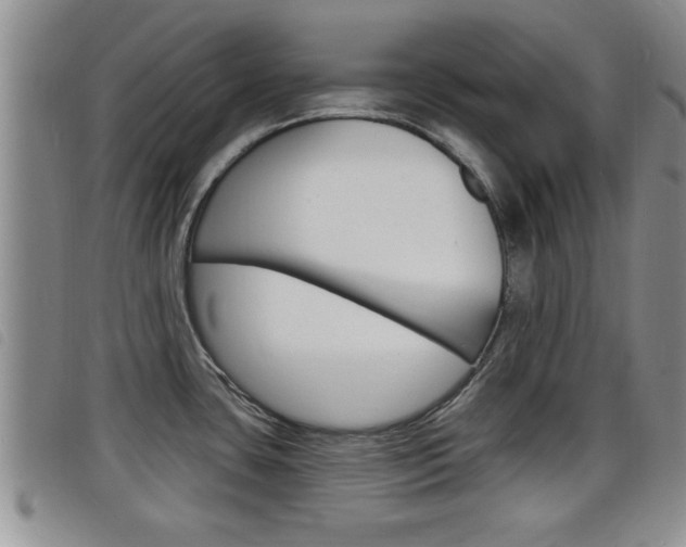 X0000098201435200804241028