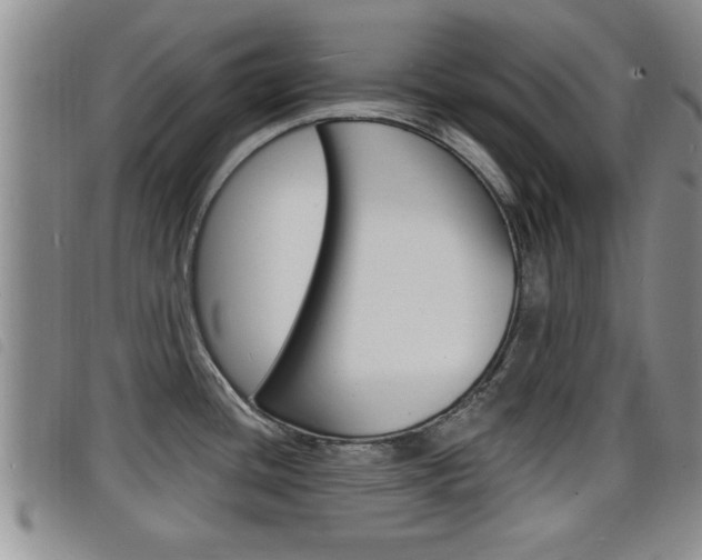X0000098201436200804241028
