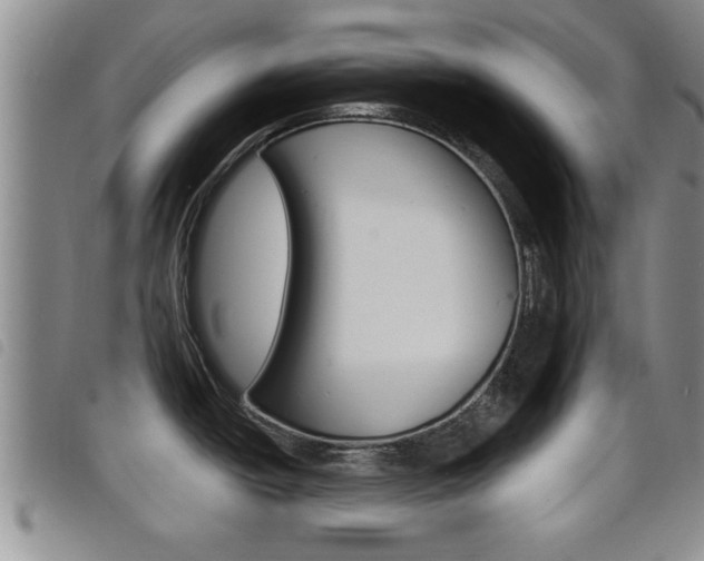 X0000098201438200804241028