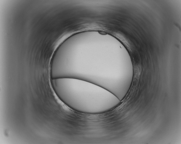 X0000098201439200804241028