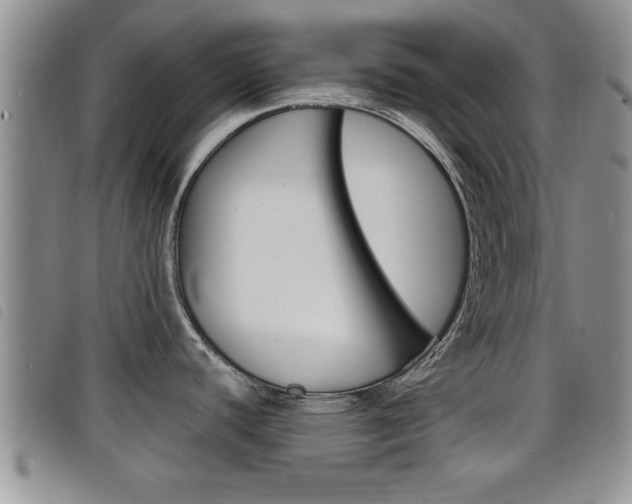 X0000098201440200804241028