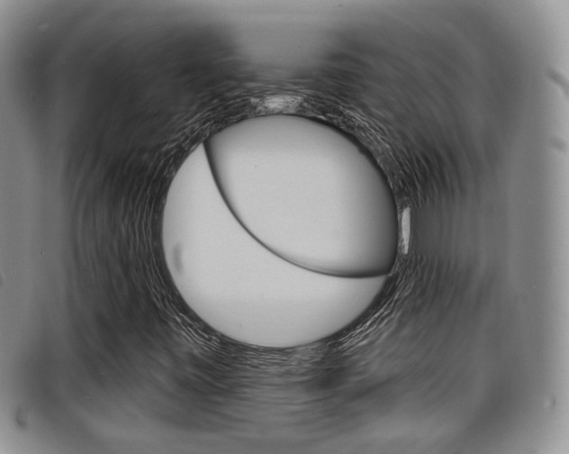 X0000098201443200804241027