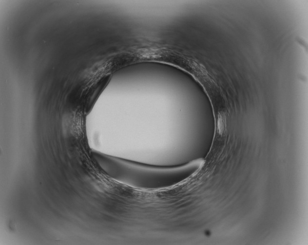 X0000098201444200804241027