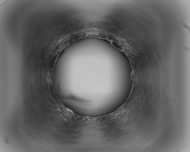 X0000098201445200804241027