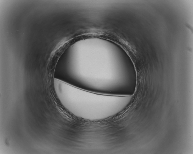 X0000098201448200804241027
