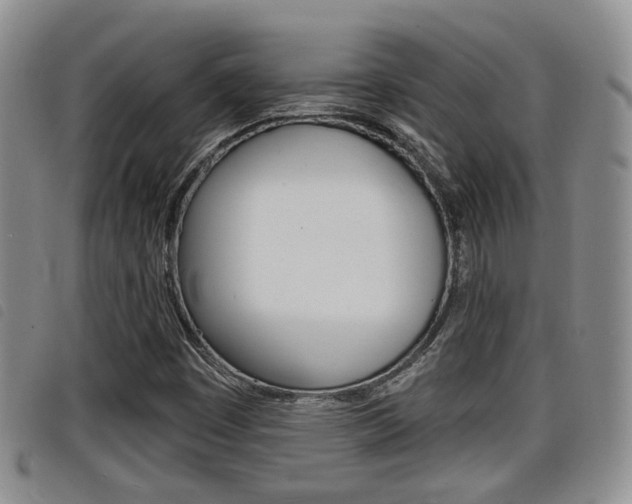 X0000098201449200804241027