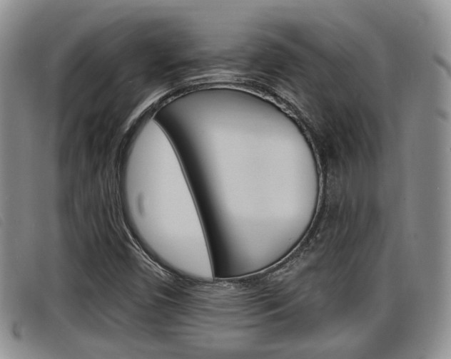 X0000098201450200804241027