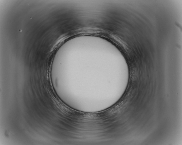 X0000098201451200804241027