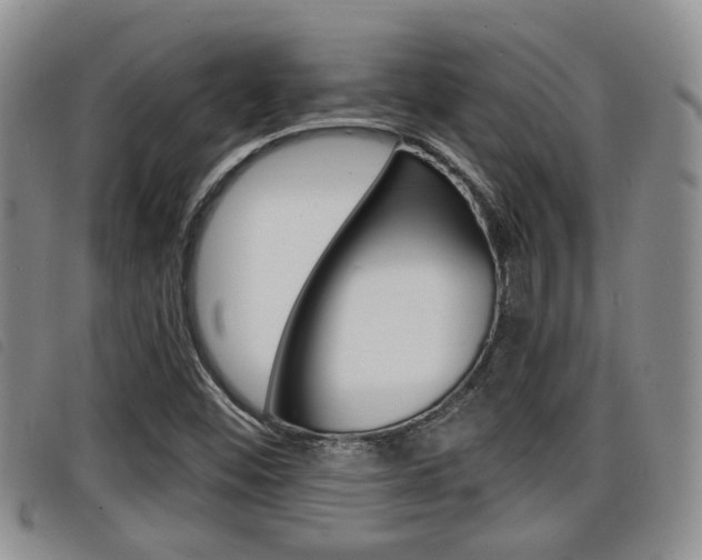 X0000098201452200804241027