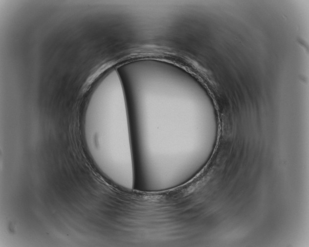 X0000098201453200804241027
