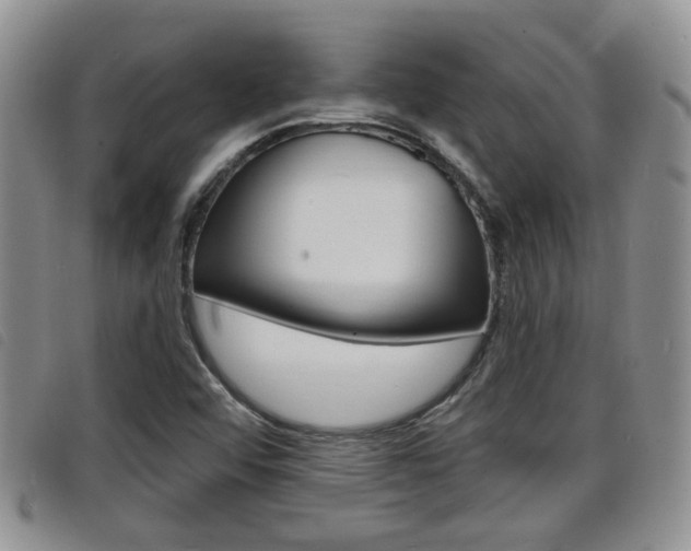X0000098201456200804241027