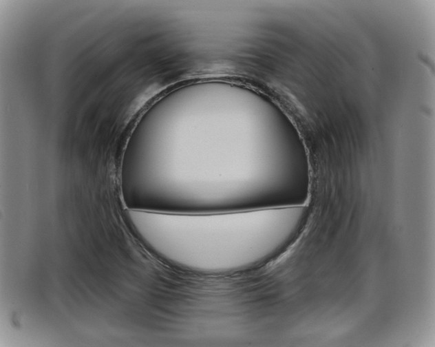 X0000098201457200804241027