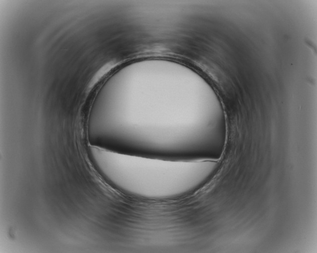 X0000098201458200804241027