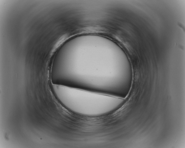 X0000098201459200804241027